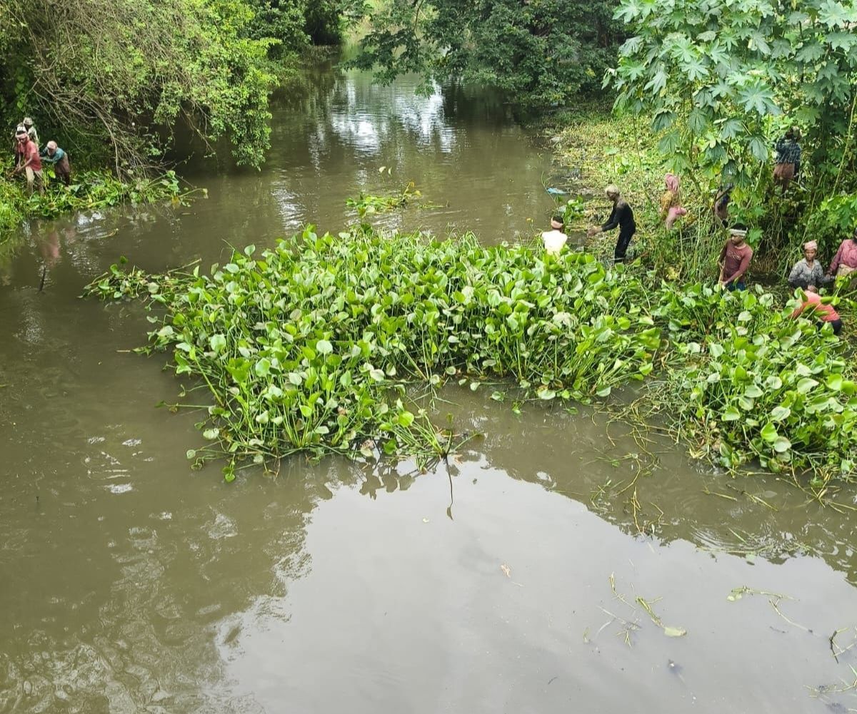 বর্ষা শুরু, তবুও খাল পরিষ্কার হয়নি! পূর্ব মেদিনীপুরে জলনিকাশী নিয়ে উদ্বেগ,সেচ দপ্তরে বন্যা প্রতিরোধ কমিটির চাপ...