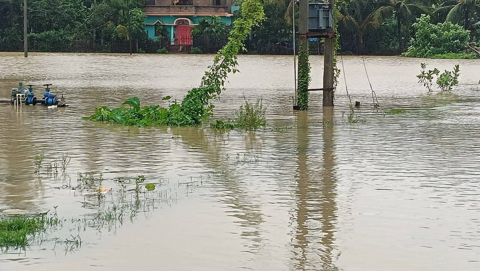 টানা বৃষ্টিতে ডুবল মোহনপুরের কৃষিজমি,ধান চাষে বড় ক্ষতির আশঙ্কা!