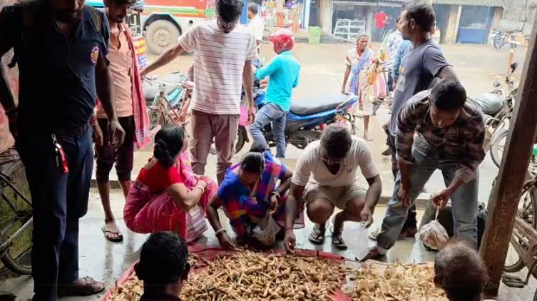 অগ্নিমূল্য প্রাকৃতিক ছাতু, তবু বাজারে উপচে পড়া ভিড়—বছরে মাত্র কয়েক দিনের স্বাদ!
