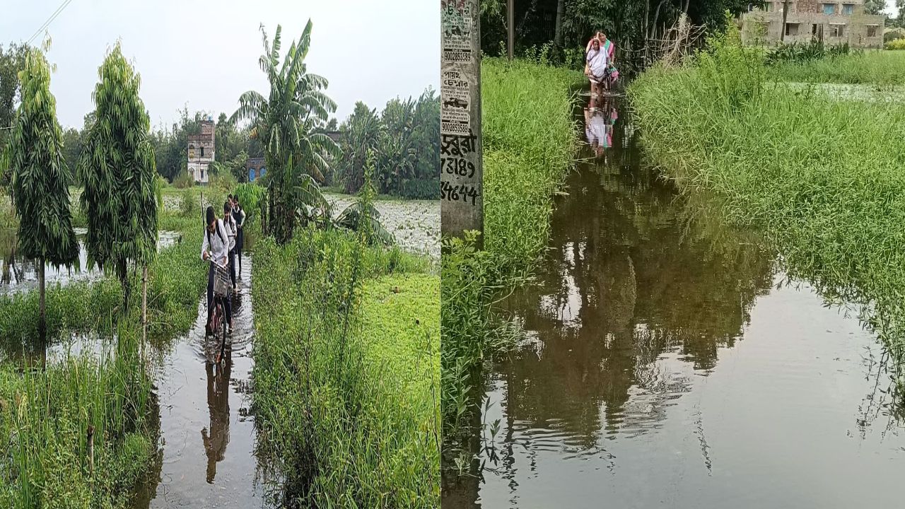 অর্ণব’-এর বৃষ্টিতে বিপর্যস্ত কোলাঘাট, ফের জলমগ্ন একাধিক গ্রাম