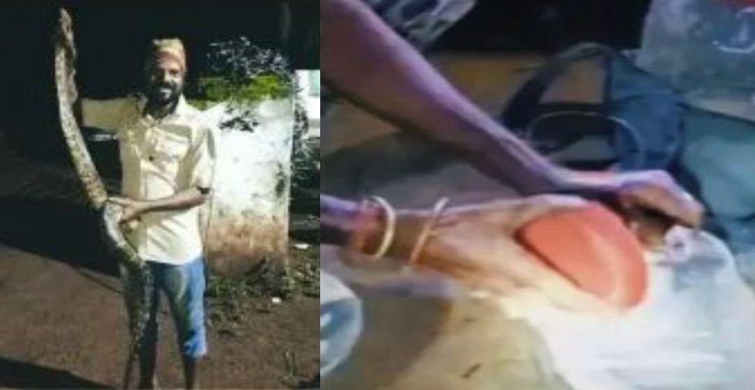সাপ ধরতে গিয়েই ‘সর্পবন্ধু’র মৃত্যু, খরিশের ছোবলে মর্মান্তিক পরিণতি মেদিনীপুরে!